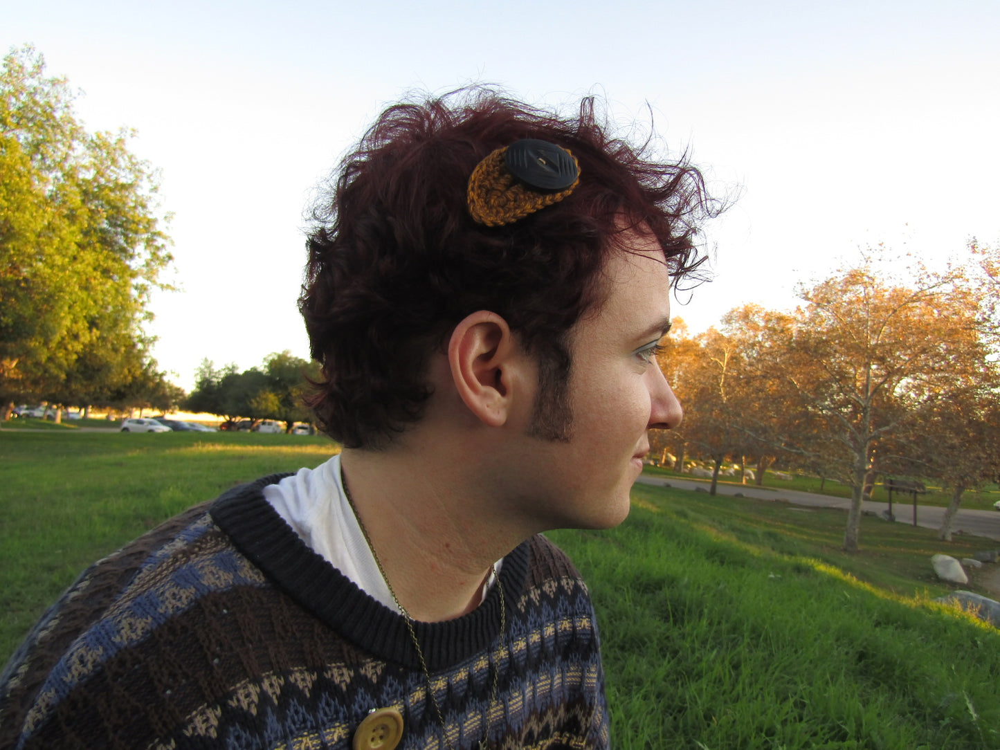 Whimsical Button Hairclips