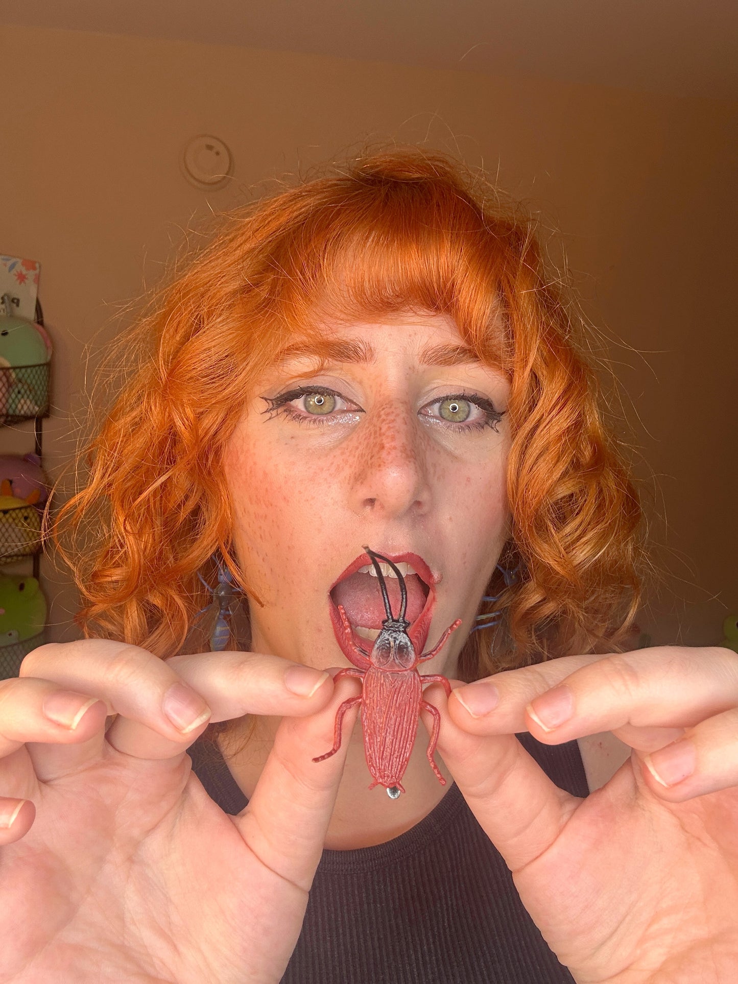 Creepy Crawly Clips