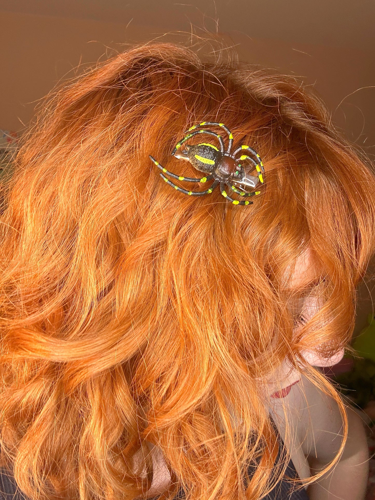 Creepy Crawly Clips